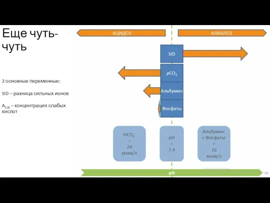 Еще чуть-чуть 2 основные переменные: SID – разница сильных ионов ATOT – концентрация слабых кислот