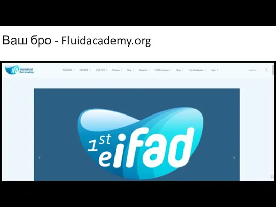 Ваш бро - Fluidacademy.org