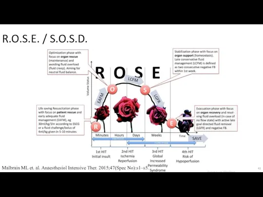 R.O.S.E. / S.O.S.D. Malbrain ML et. al. Anaesthesiol Intensive Ther. 2015;47(Spec No):s1–s5.