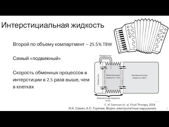 Интерстициальная жидкость Второй по объему компартмент – 25.5% TBW Самый «подвижный» Скорость