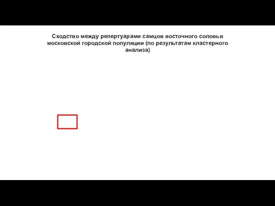 Сходство между репертуарами самцов восточного соловья московской городской популяции (по результатам кластерного анализа)