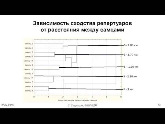 Зависимость сходства репертуаров от расстояния между самцами С. Седлецкая, ВООП ГДМ 21/04/2019