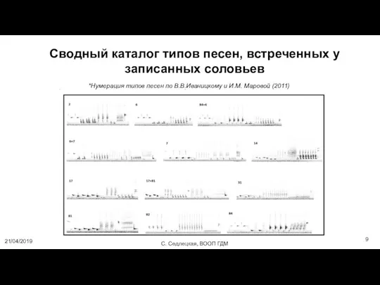 Сводный каталог типов песен, встреченных у записанных соловьев *Нумерация типов песен по