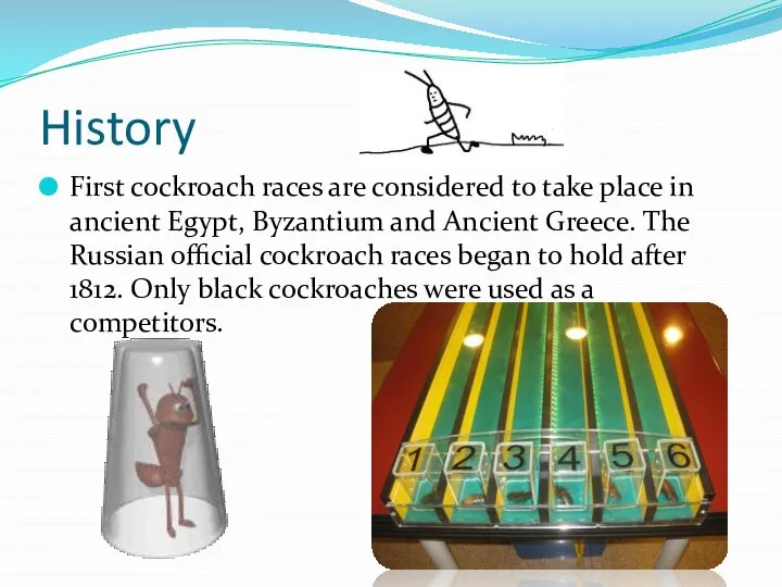 History First cockroach races are considered to take place in ancient Egypt,