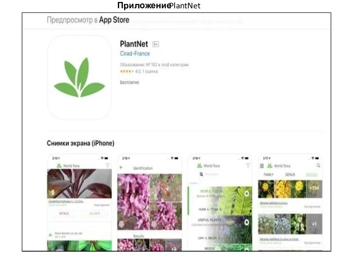 PlantNet Приложение