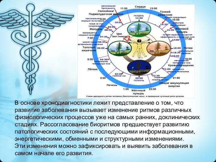 В основе хронодиагностики лежит представление о том, что развитие заболевания вызывает изменение