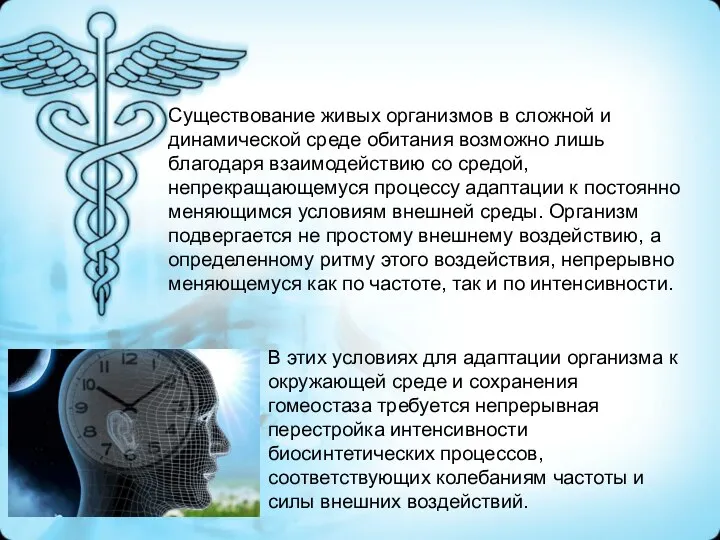 Существование живых организмов в сложной и динамической среде обитания возможно лишь благодаря