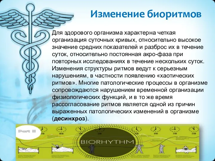 Изменение биоритмов Для здорового организма характерна четкая организация суточных кривых, относительно высокое