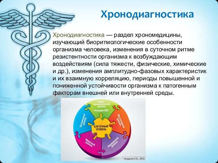 Хронодиагностика Хронодиагностика — раздел хрономедицины, изучающий биоритмологические особенности организма человека, изменения в