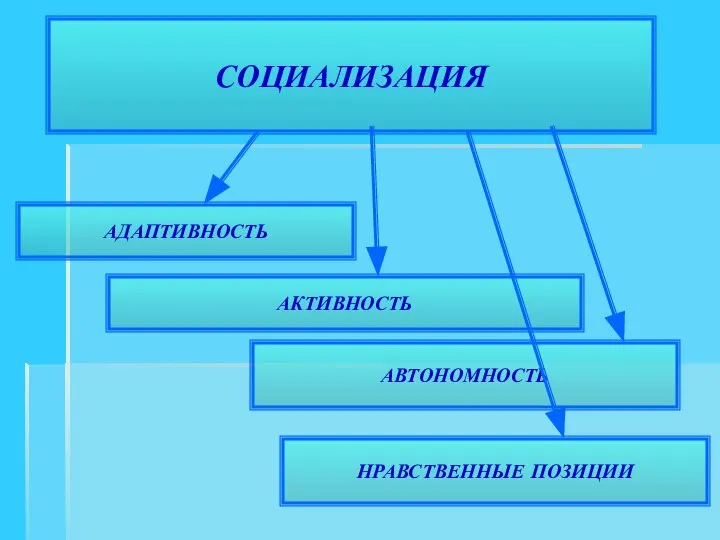 СОЦИАЛИЗАЦИЯ АДАПТИВНОСТЬ АКТИВНОСТЬ АВТОНОМНОСТЬ НРАВСТВЕННЫЕ ПОЗИЦИИ