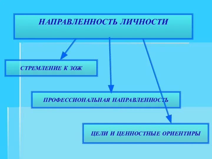 НАПРАВЛЕННОСТЬ ЛИЧНОСТИ СТРЕМЛЕНИЕ К ЗОЖ ПРОФЕССИОНАЛЬНАЯ НАПРАВЛЕННОСТЬ ЦЕЛИ И ЦЕННОСТНЫЕ ОРИЕНТИРЫ