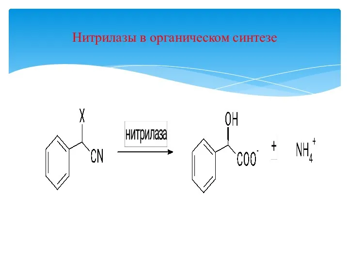 Нитрилазы в органическом синтезе