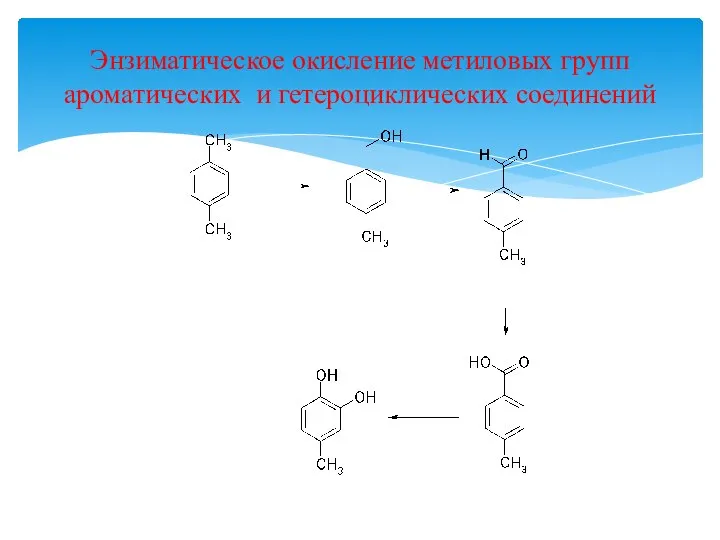 Энзиматическое окисление метиловых групп ароматических и гетероциклических соединений