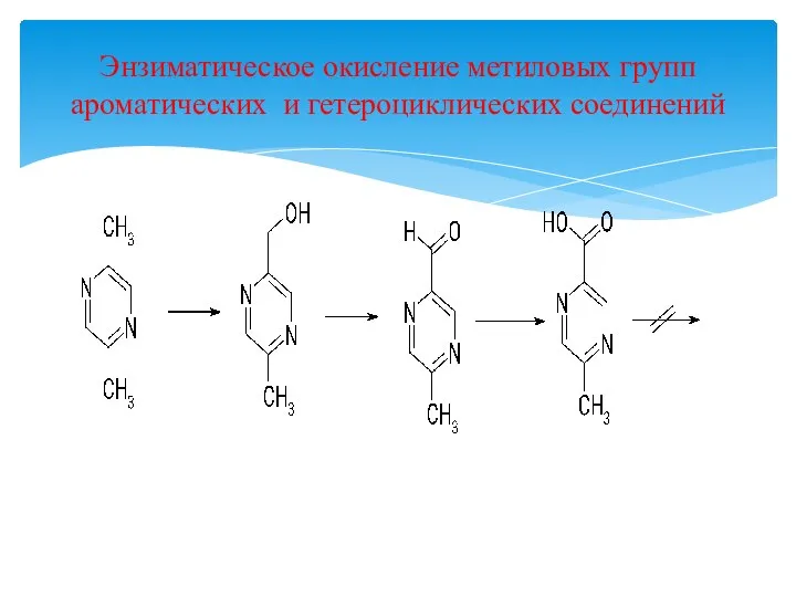 Энзиматическое окисление метиловых групп ароматических и гетероциклических соединений