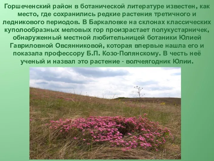 Горшеченский район в ботанической литературе известен, как место, где сохранились редкие растения