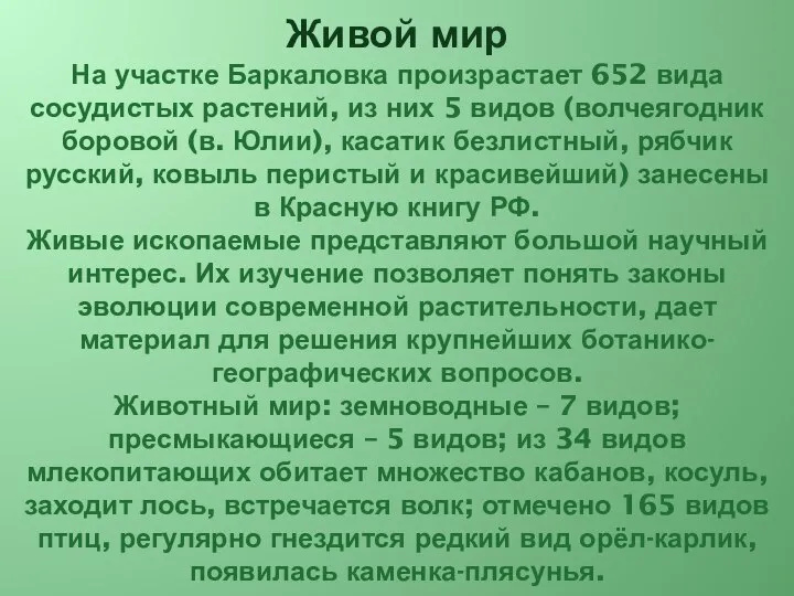 Живой мир На участке Баркаловка произрастает 652 вида сосудистых растений, из них