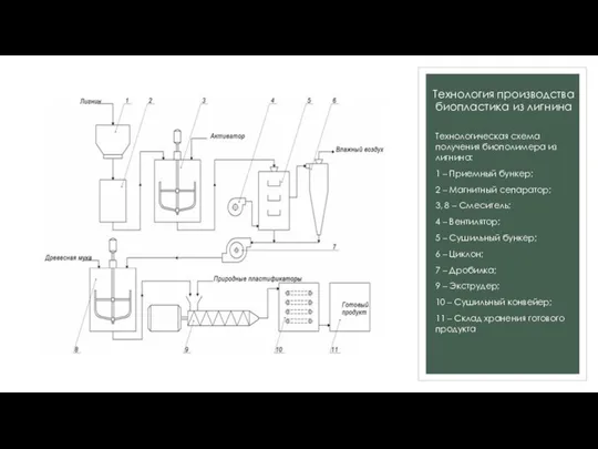Технология производства биопластика из лигнина Технологическая схема получения биополимера из лигнина: 1
