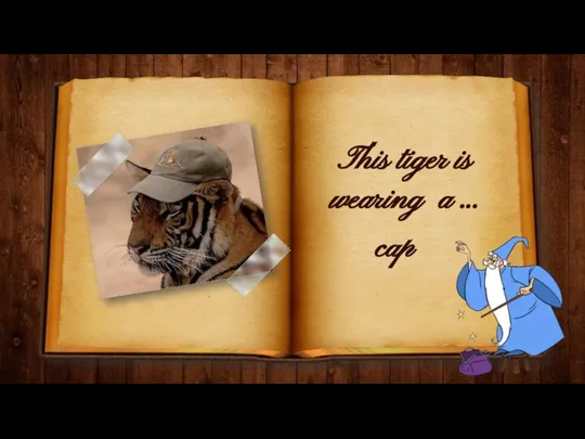 This tiger is wearing a … cap
