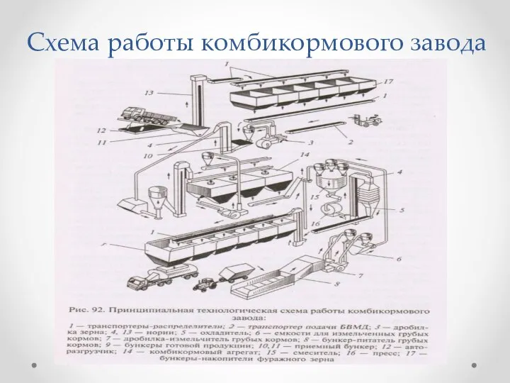 Схема работы комбикормового завода