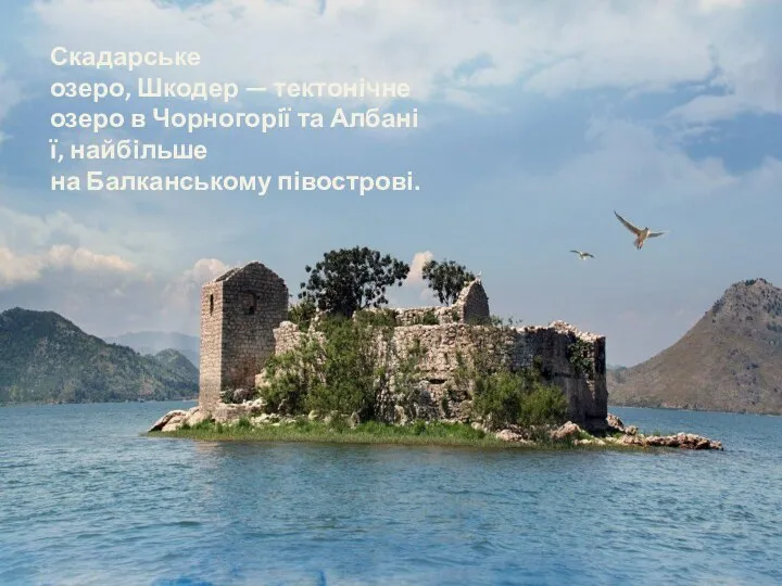 Скадарське озеро, Шкодер — тектонічне озеро в Чорногорії та Албанії, найбільше на Балканському півострові.