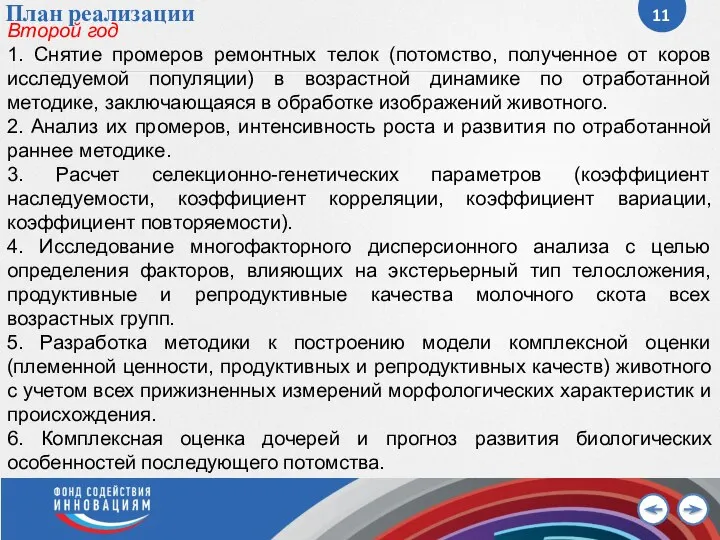 План реализации Второй год 1. Снятие промеров ремонтных телок (потомство, полученное от