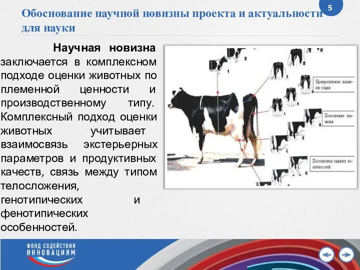 Обоснование научной новизны проекта и актуальности для науки Научная новизна заключается в