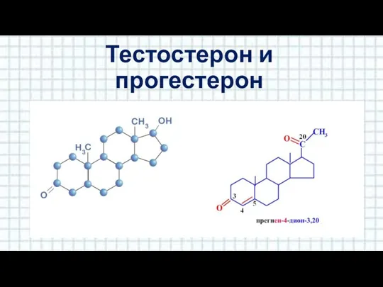 Тестостерон и прогестерон