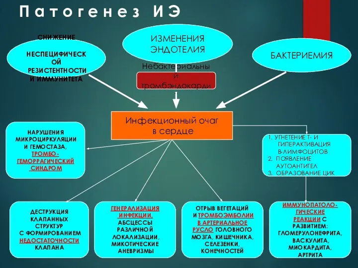 П а т о г е н е з И Э Инфекционный