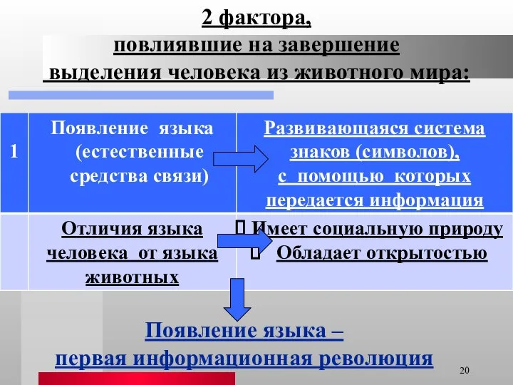 2 фактора, повлиявшие на завершение выделения человека из животного мира: Появление языка – первая информационная революция