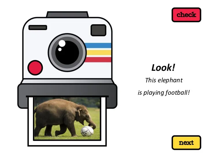 next check This elephant is playing football! Look!