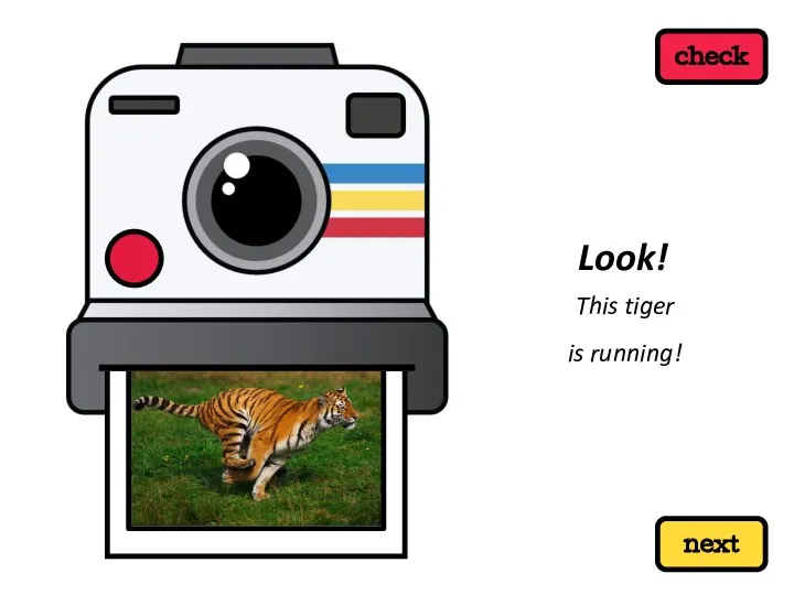 next check This tiger is running! Look!