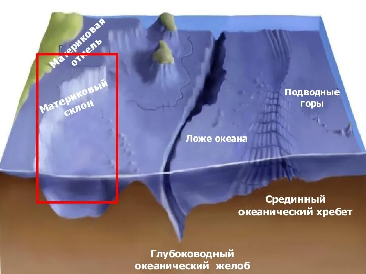 Рельеф дна Мирового океана Материковая отмель Материковый склон Ложе океана Глубоководный океанический