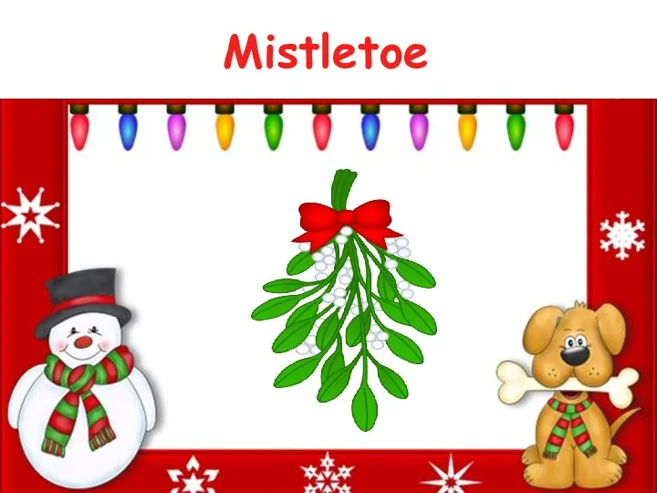 Mistletoe