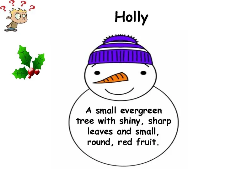 A small evergreen tree with shiny, sharp leaves and small, round, red fruit. Holly