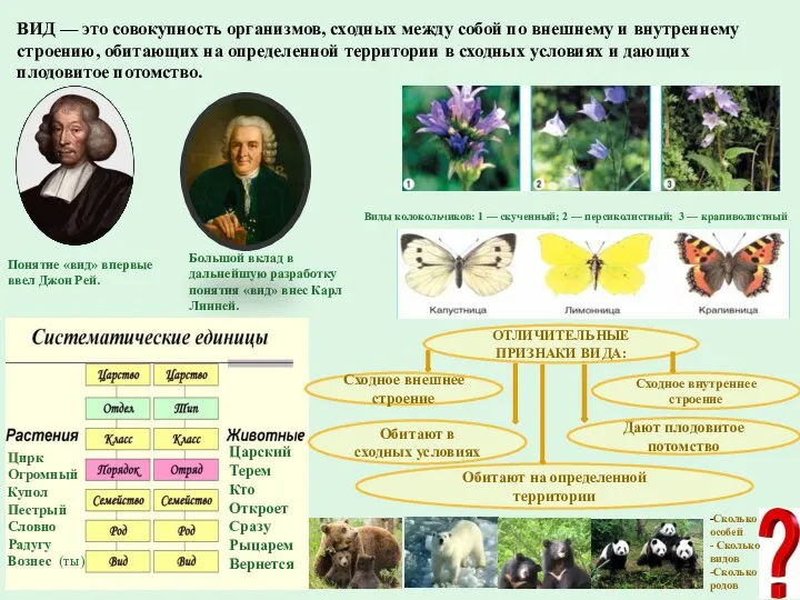 ВИД — это совокупность организмов, сходных между собой по внешнему и внутреннему