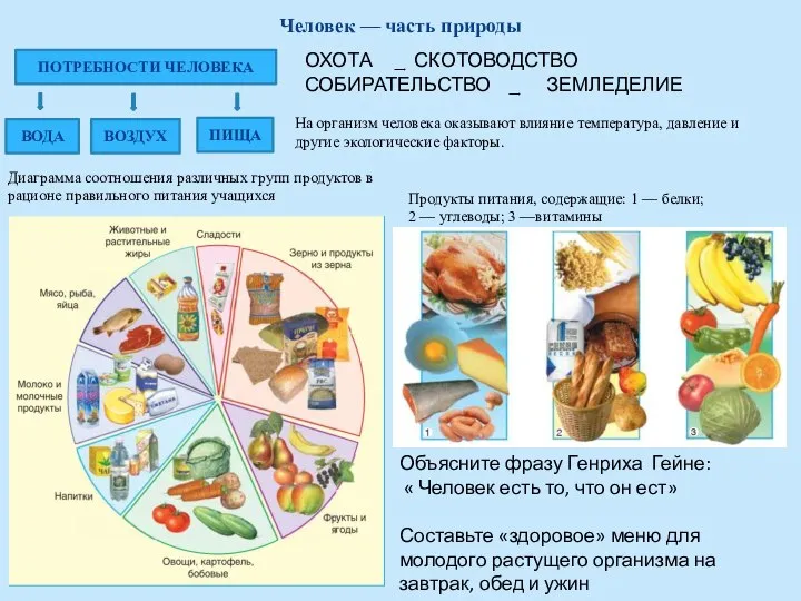 Человек — часть природы ПОТРЕБНОСТИ ЧЕЛОВЕКА ПИЩА ВОЗДУХ ВОДА ОХОТА ͢ СКОТОВОДСТВО