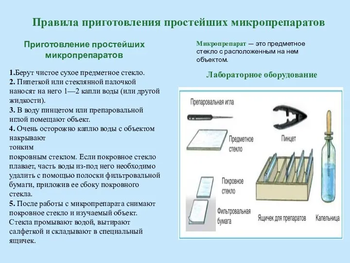 Правила приготовления простейших микропрепаратов Микропрепарат — это предметное стекло с расположенным на