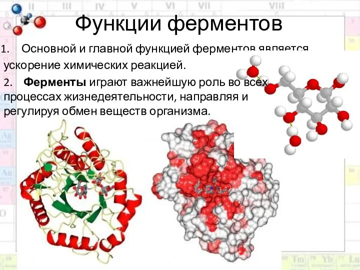 Функции ферментов Основной и главной функцией ферментов является ускорение химических реакцией. 2.