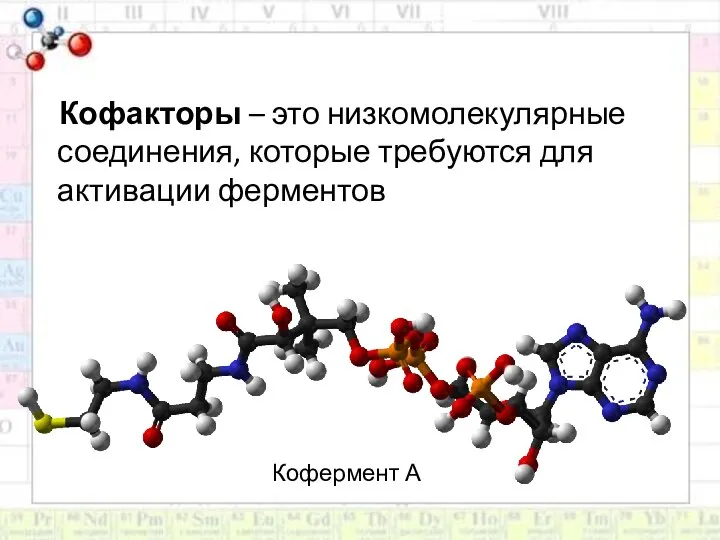 Кофермент А Кофакторы – это низкомолекулярные соединения, которые требуются для активации ферментов