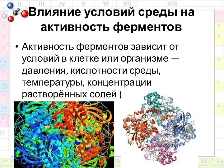 Влияние условий среды на активность ферментов Активность ферментов зависит от условий в