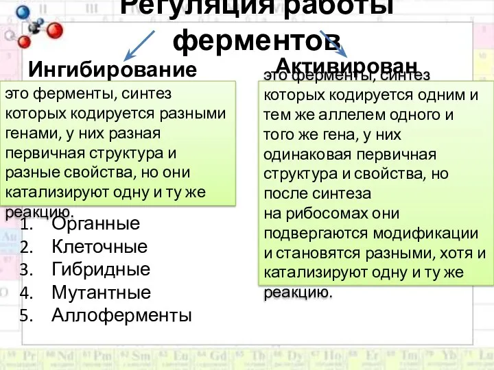 Регуляция работы ферментов Ингибирование Активирование это ферменты, синтез которых кодируется разными генами,