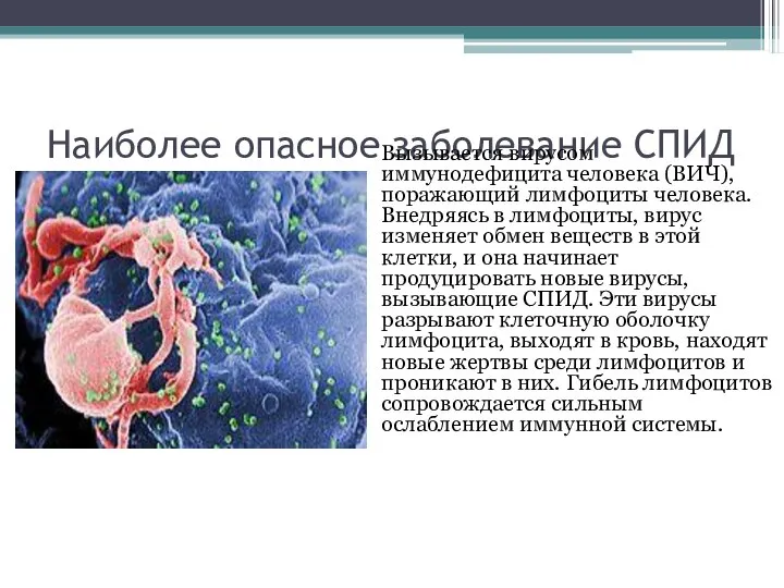 Наиболее опасное заболевание СПИД Вызывается вирусом иммунодефицита человека (ВИЧ), поражающий лимфоциты человека.