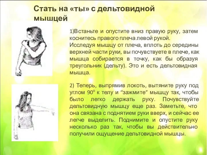 Стать на «ты» с дельтовидной мышцей 1)Встаньте и опустите вниз правую руку,