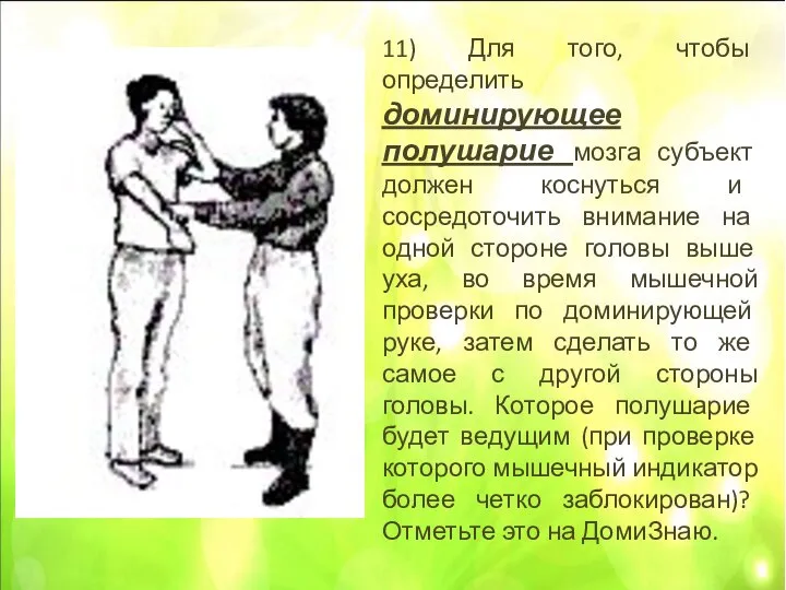 11) Для того, чтобы определить доминирующее полушарие мозга субъект должен коснуться и