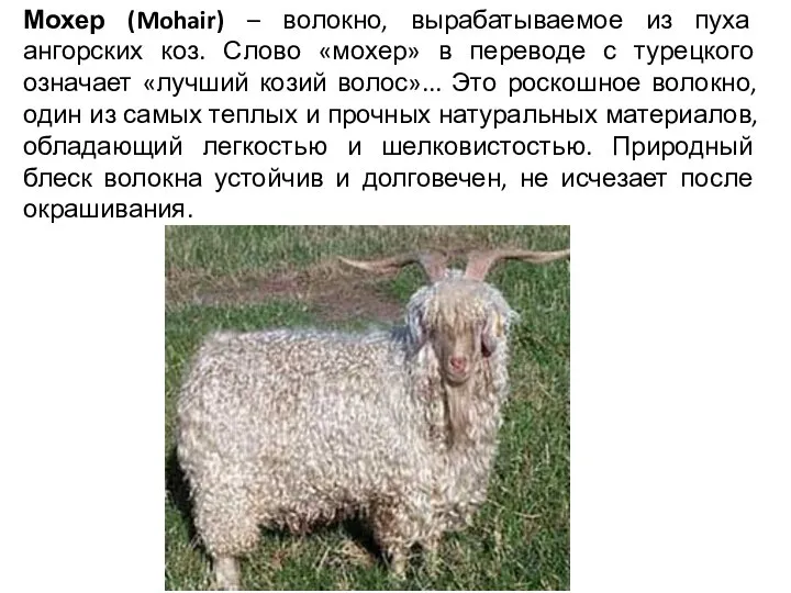 Мохер (Mohair) – волокно, вырабатываемое из пуха ангорских коз. Слово «мохер» в