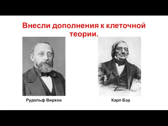 Внесли дополнения к клеточной теории. Рудольф Вирхов Карл Бэр