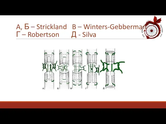 A, Б – Strickland B – Winters-Gebberman Г – Robertson Д - Silva