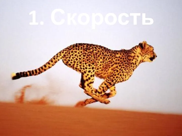 1. Скорость