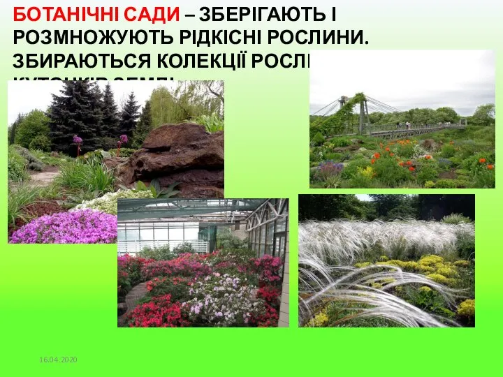 БОТАНІЧНІ САДИ – ЗБЕРІГАЮТЬ І РОЗМНОЖУЮТЬ РІДКІСНІ РОСЛИНИ. ЗБИРАЮТЬСЯ КОЛЕКЦІЇ РОСЛИН З РІЗНИХ КУТОЧКІВ ЗЕМЛІ. 16.04.2020