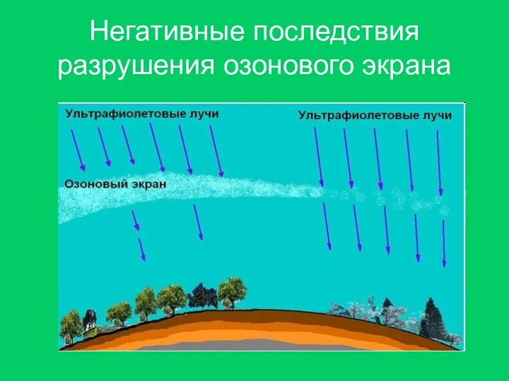 Негативные последствия разрушения озонового экрана